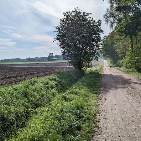 Luxe Bungalow "Zomeroord" Beekbergen Exteriör bild