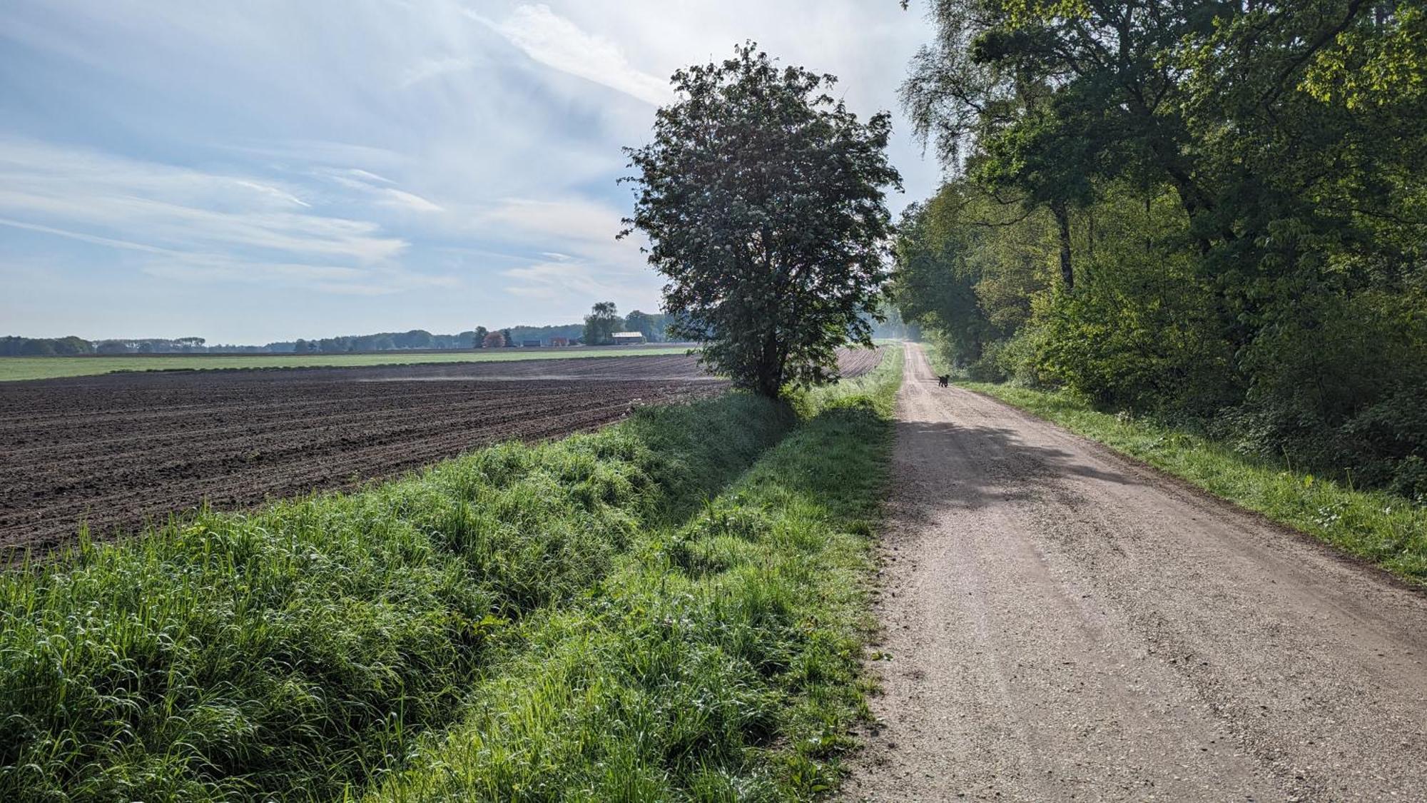Luxe Bungalow "Zomeroord" Beekbergen Exteriör bild